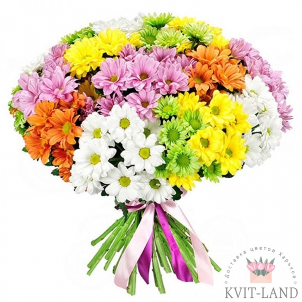разноцветная хризантема большой букет