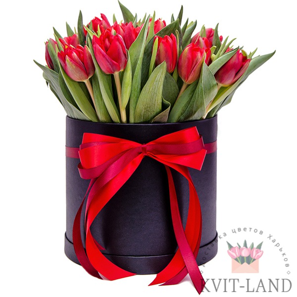 красный тюльпан в шляпной коробке