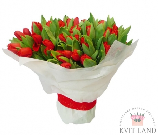 букет из 51 красного тюльпана