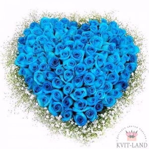 синяя роза в каркасе сердце