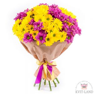 букет хризантема разноцветная