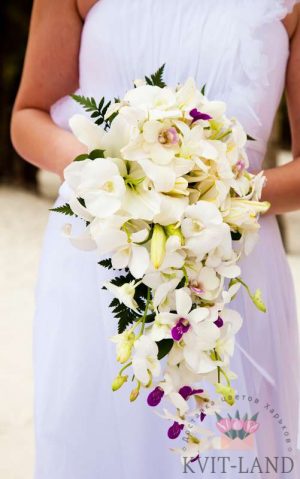букет невесты из белых орхидей