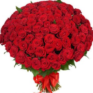 красивые красные розы в букете
