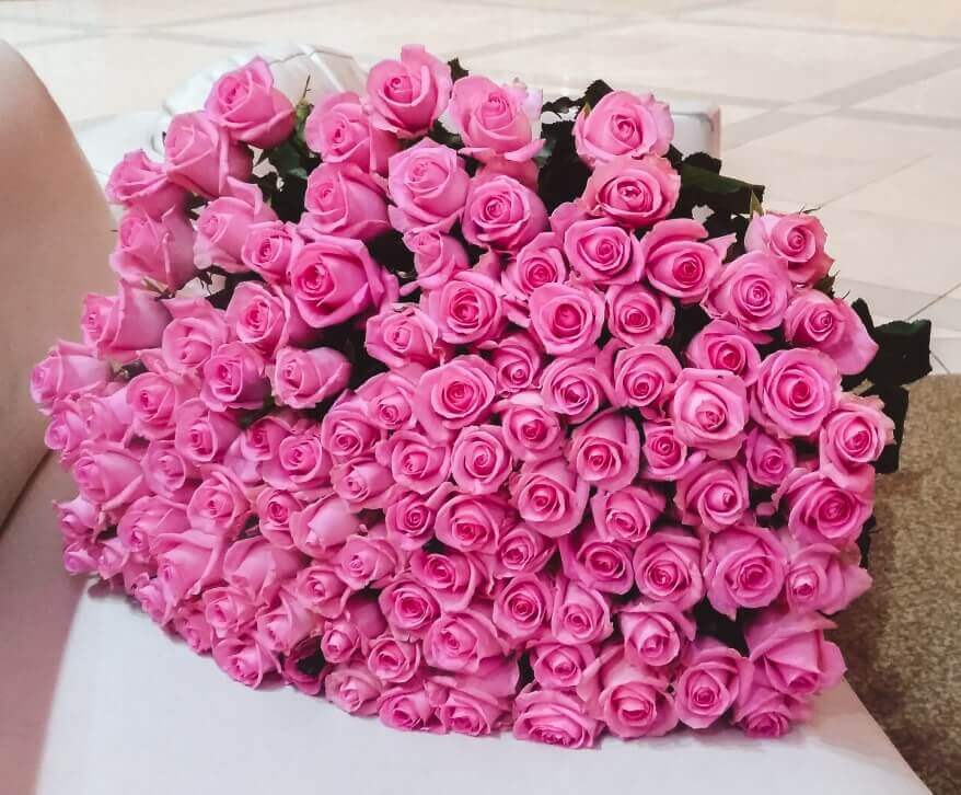 букет из 101 розовой розы